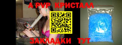 стаф Будённовск