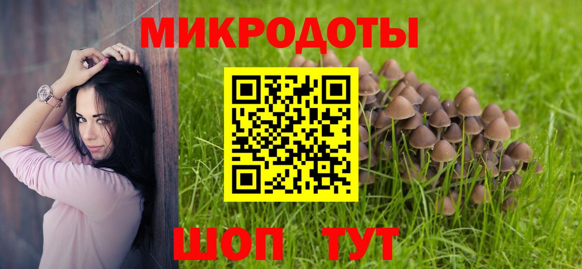 Галлюциногенные грибы Psilocybine cubensis  Вход с VPN  Галлюциногенные грибы GOLDEN TEACHER  Новороссийск 